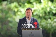 Ordenan cinco meses de prisión preventiva contra el expresidente de Bolivia, Luis Arce