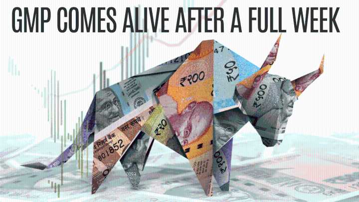 Nephrocare IPO: 13% subscription on Day 1 but GMP jumps