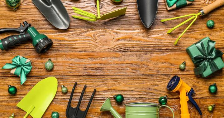 Ask an Expert - December Gardener’s Almanac tips