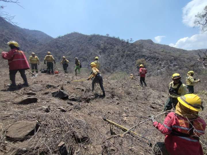 Investigan intencionalidad en los incendios: el municipio presentó una denuncia penal