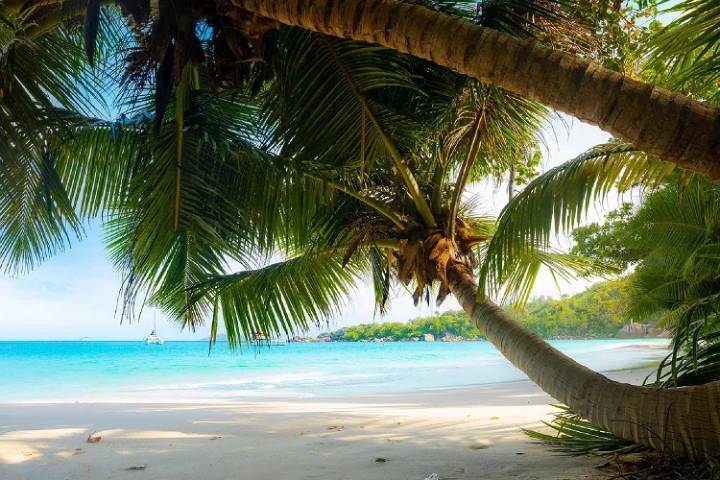 Vacaciones: ¿Cuáles son los destinos más elegidos y cómo conseguirlos al mejor precio?