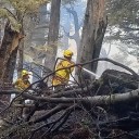Hardie resaltó el trabajo nacional en prevención y apoyo a provincias frente a los incendios