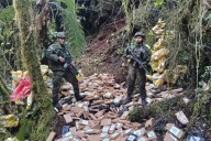 Ejército incautó casi seis toneladas de cocaína en Nariño, Colombia
