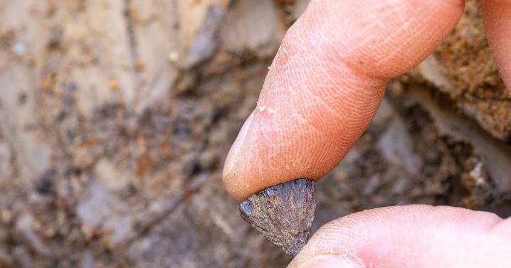 'Oldest known human fire' from 400,000 years ago discovered in UK pit