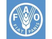 Renewable water availability per person plunges 7% in decade: FAO