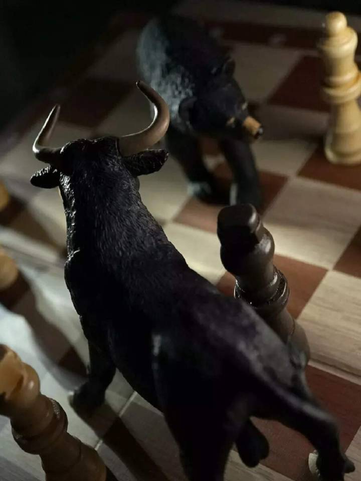 Gainers & Losers: Indigo, Kaynes Technology among 6 stocks that hogged limelight on Friday