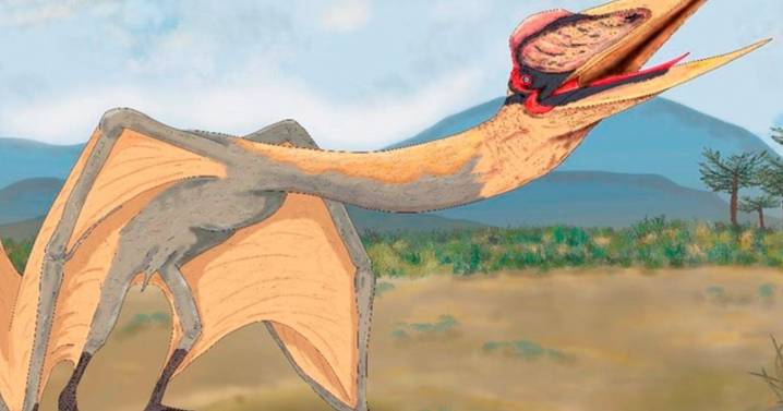 Cómo era el «dragón de la muerte» que se fosilizó tras una inundación