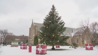 North Buffalo kicks off holiday season with tree lighting and festivities