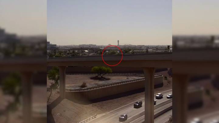 Surprise On Arizona Highway As White Spot Turns Out To Be A Fluffball In Need Of Rescue