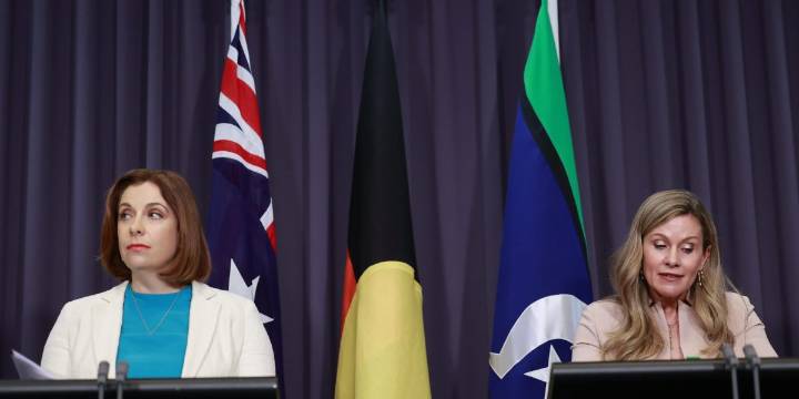 Australia wants to end the era of kids on social media with international ban hailed as ‘first domino’ in global movement