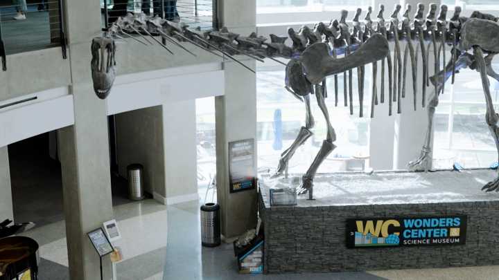 'You're Not a Cosmic Accident': Unique Creation Museum Reveals Where Faith and Science Meet