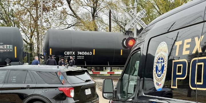 Man fatally struck by train while walking dog