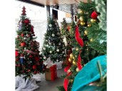 Quinte West Festival of Trees Friday through Sunday