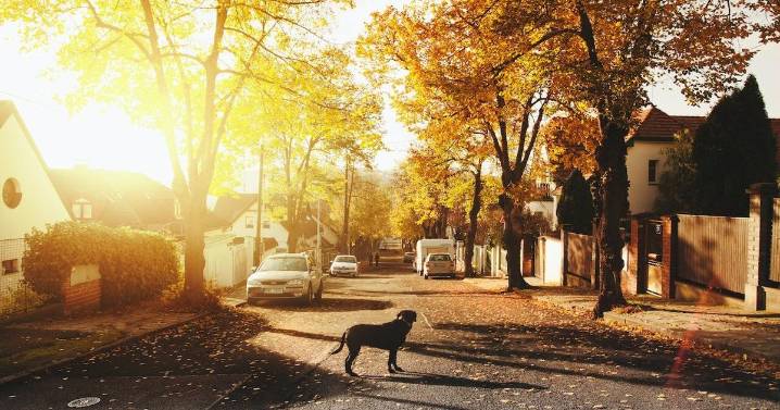 Midwestern charm, prices, amenities motivate people to move here