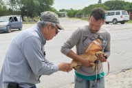 Realiza SST campaña preventiva para la detección de rickettsiosis