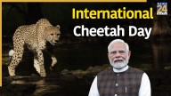 International Cheetah Day: PM Modi invites wildlife lovers to experience India’s project Cheetah