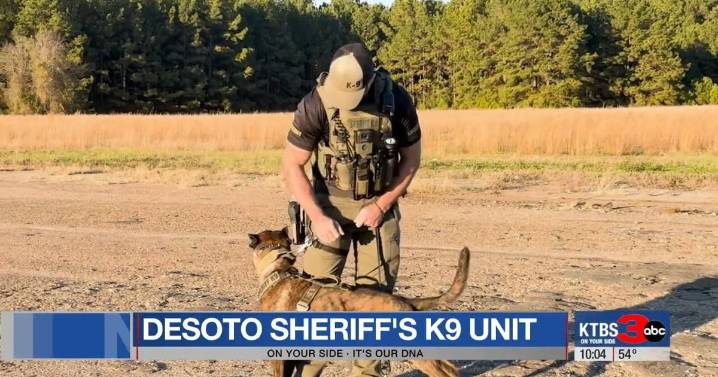 K-9 Karen back on duty after confrontation with wrong