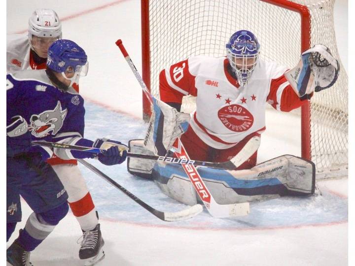 Soo Greyhounds' William Camputaro named GOHL prospect of the week