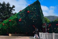 Árbol de Navidad de 25 metros se desploma en plena la Plaza de Armas de Coyhaique