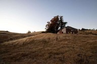 Coho salmon found in Sonoma Coast creek for first time in 60 years