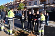 Tomares inicia la plantación de árboles en las zonas de Aljamar y Hacienda La Cartuja