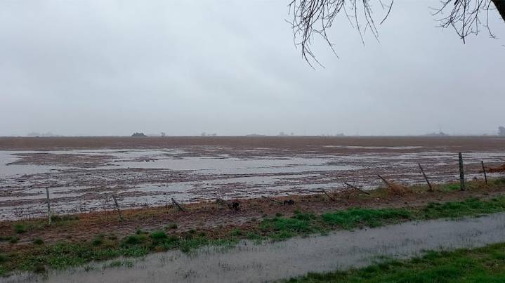 El norte agrícola bonaerense sufrió lluvias fuertes, granizo y anegamientos