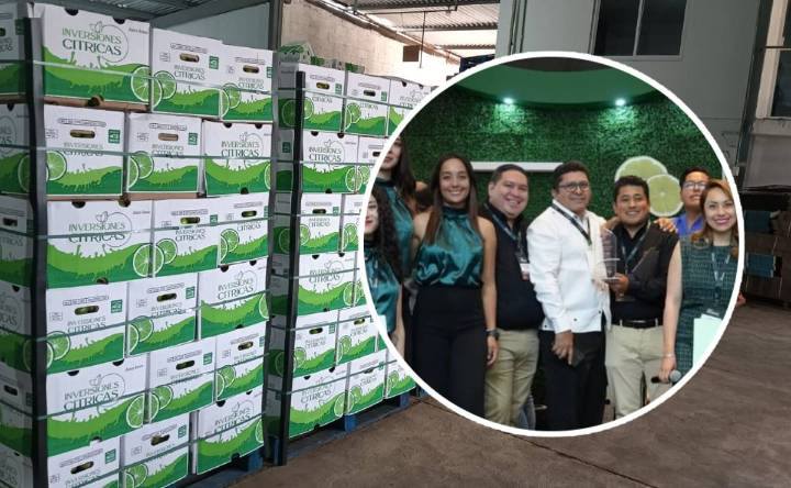 Rendimientos de 23.5 por ciento en agroinversión: Inversiones cítricas lidera el mercado