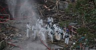 Hong Kong leader orders independent investigation into fire that killed 151