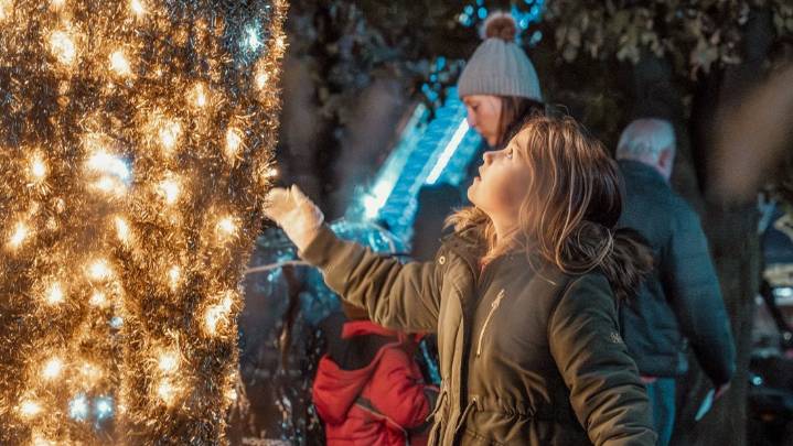 Local photographer shares tips on capturing the perfect holiday photos