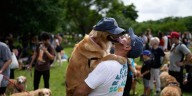 Golden retrievers gather in Buenos Aires for a world record attempt