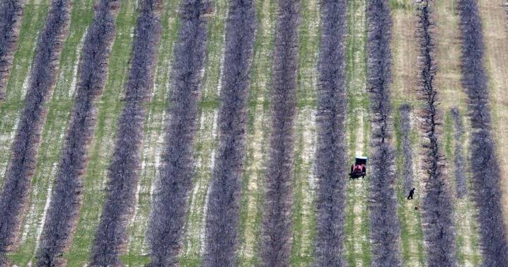Report raises concerns about human rights of N.S. female migrant workers