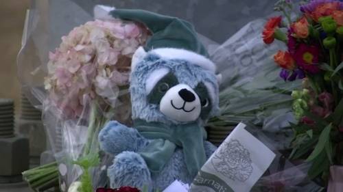 Teenage driver charged in deadly Cary crash that killed Green Hope student, injured several others