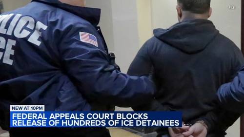 Federal appeals court blocks release of hundred detained by immigration agents in 'Operation Midway Blitz' across Chicago area
