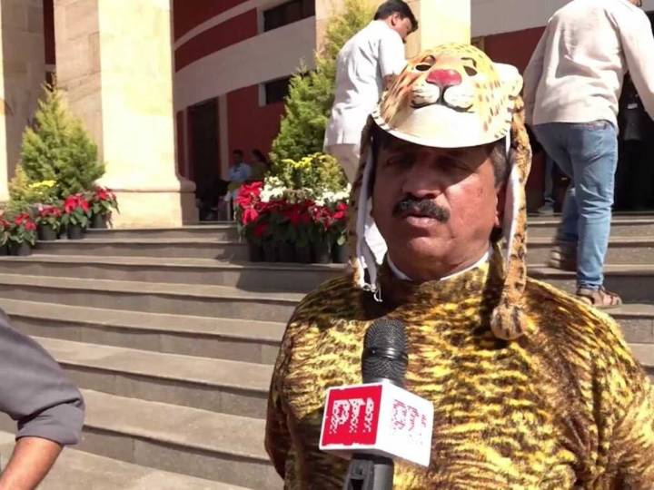 Diputado indio se viste de leopardo y exige emergencia en Maharashtra
