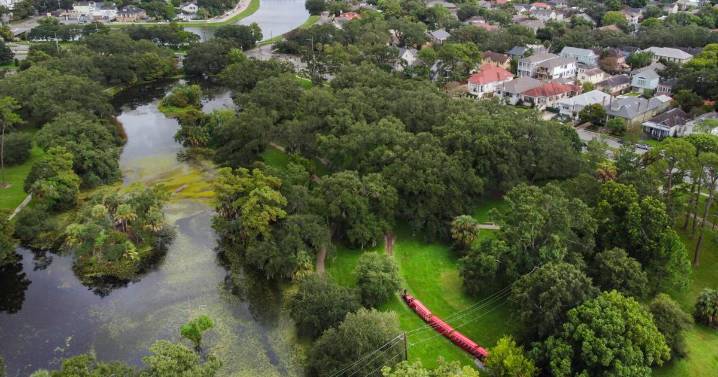 This New Orleans park is among the best in the US, Washington Post readers say