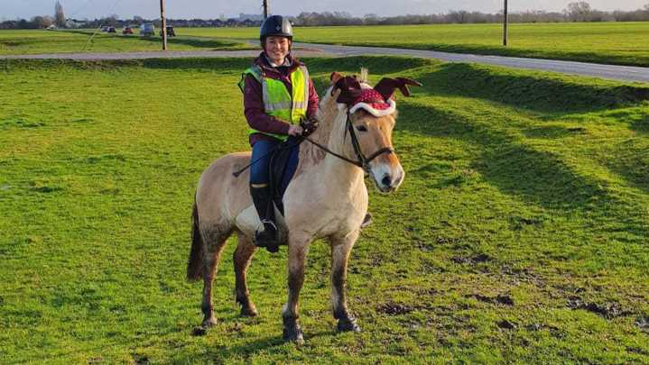 Christmas fancy dress for horses and riders