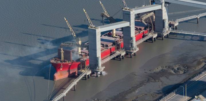 Ingreso de dólares del campo en noviembre: fue el monto más bajo para ese mes en 10 años