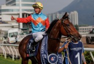 Purton could rake in All the Cash in his Sha Tin Paradise