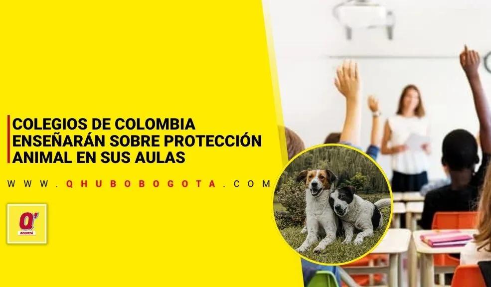 Colegios de Colombia enseñarán sobre protección animal en sus aulas
