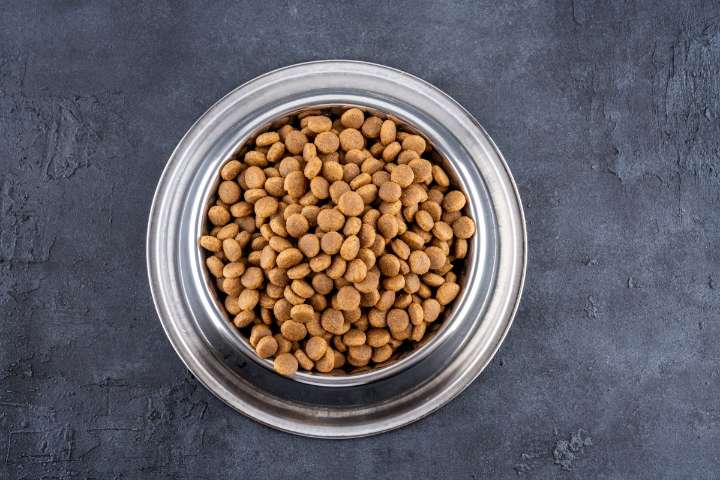 Retiran comida para perros en varios estados por contaminación con plástico