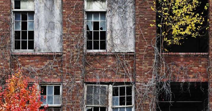 Trump pardons St. Louis native: Morning Post email newsletter