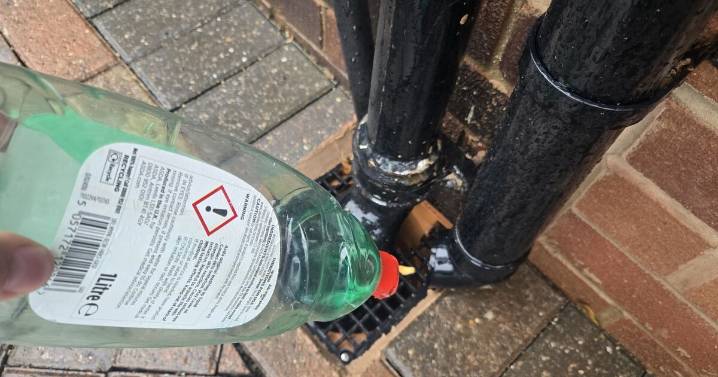 Households urged to pour washing up liquid down the drain in December
