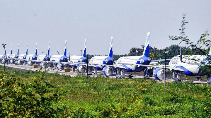 DGCA is at fault for creating an airline that was ‘too big to fail’