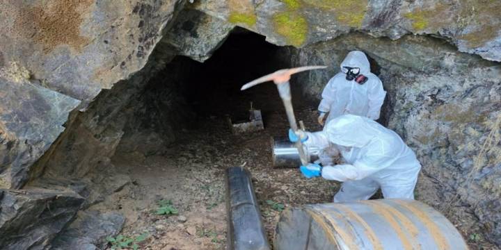 Golpe millonario al narco: aseguran 16 áreas de producción de droga en Sinaloa