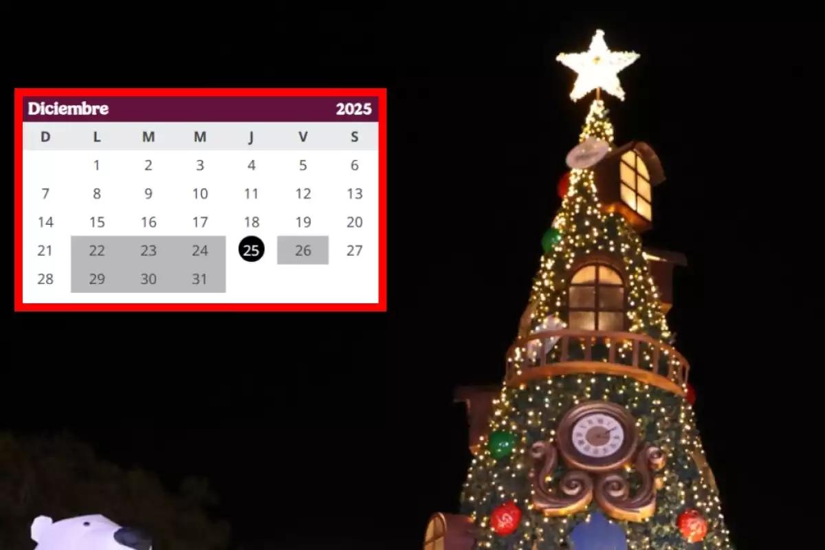 Vacaciones de diciembre 2025: Este es el último día de clases en Yucatán según la SEP