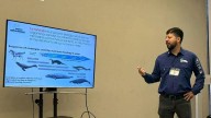 Gran Acuario Mazatlán fortalece el bienestar animal mediante capacitación especializada en lobos marinos