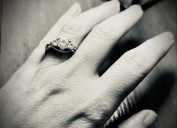 Diamantes “cultivados”: lecciones aprendidas para la acuicultura Totoaba y el comercio internacional de productos de fauna silvestre de lujo