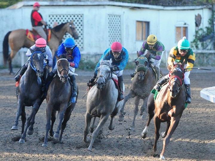 Hastings Racecourse in Vancouver to close after more than 130 years