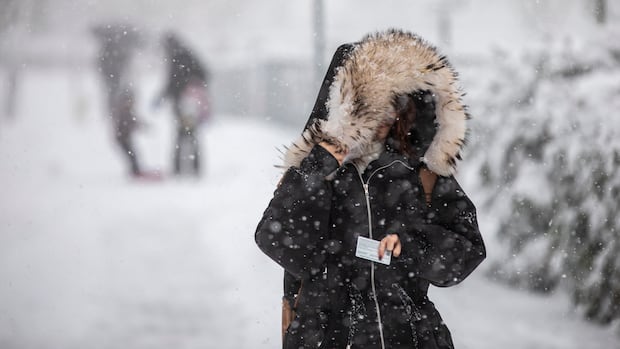 Parts of northern Alberta slated to see upwards of 30 cm of snow by morning