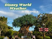 Is it cold in Disney World in December? Guess again! Here's what to know before you go